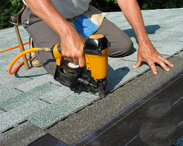Best Roof Leak Repair  in Purvis, MS