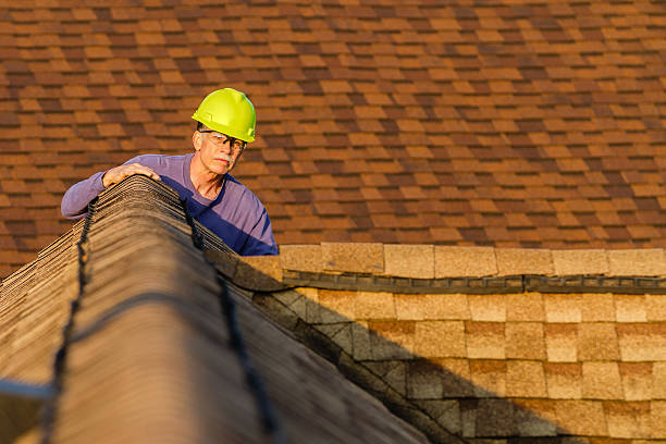 Best Roof Waterproofing Services  in Purvis, MS
