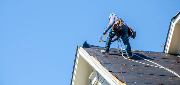 Best Roofing Contractor Near Me  in Purvis, MS